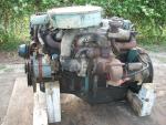 Nissan SD33 Diesel - Ebay P1