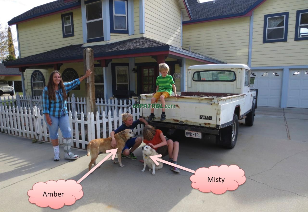 Meet RiverPatrol's Dogs... Very Important