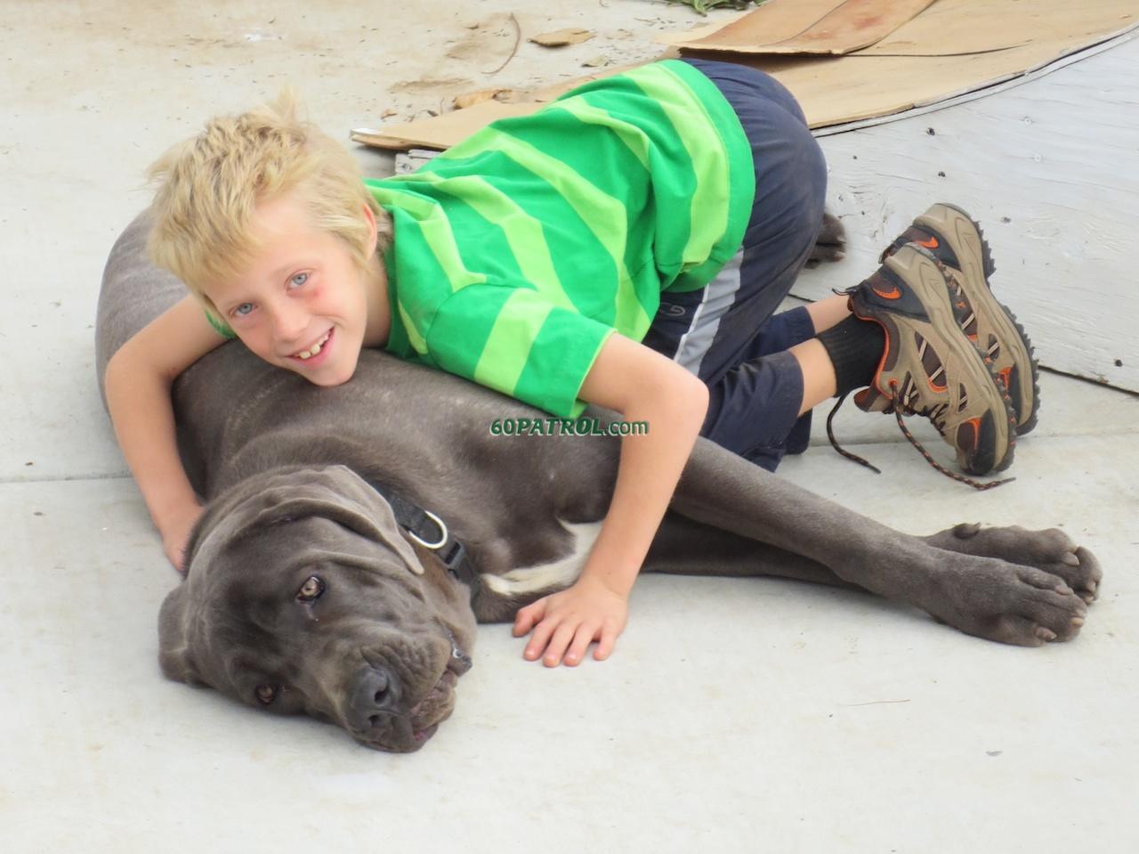 Jay and the 7-month old Mastiff named Jeff