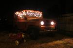 Wearing its New Years Outfit -- At night!
