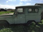 In the Field 4
