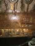 IMG 7558